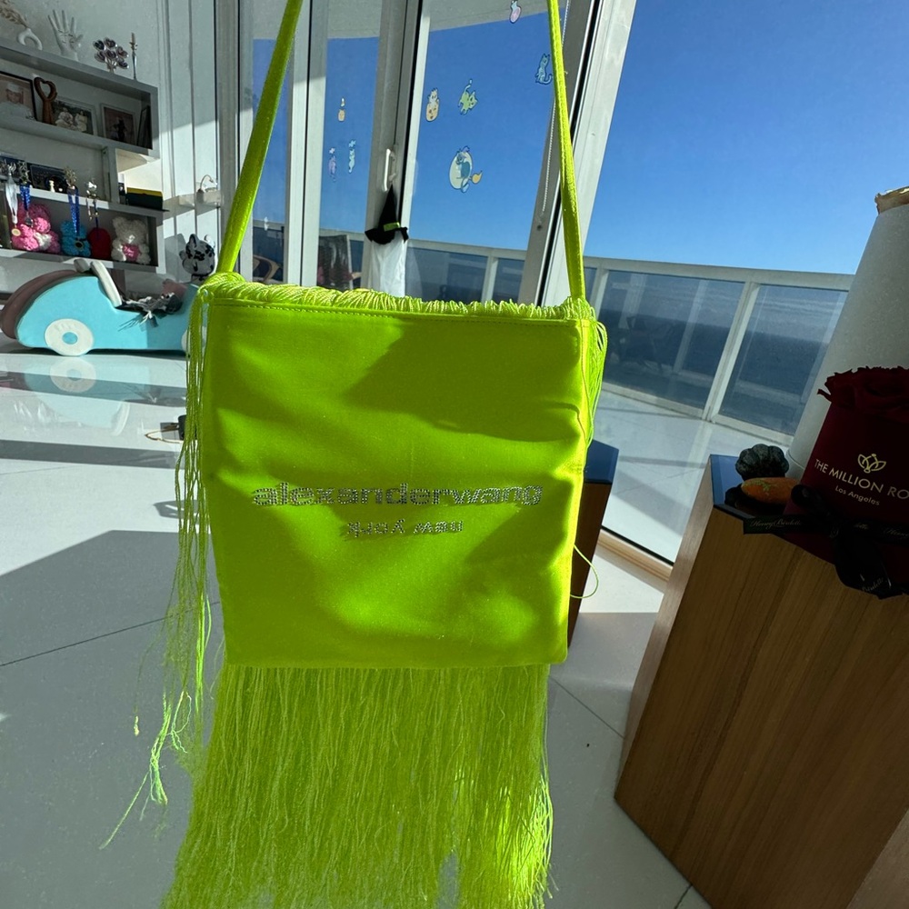 ALEXANDERWANG bag , new , very good condition